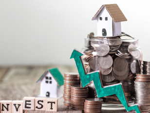 Enterprise & Investment Strategy