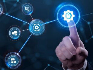 Workforce Systems & Capacity Development